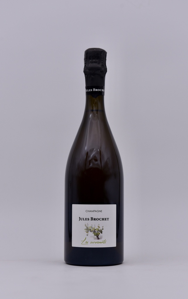 Jules Brochet, Les Survivants, 75 cl