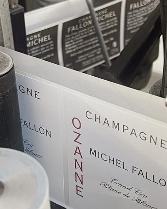 Michel Fallon
