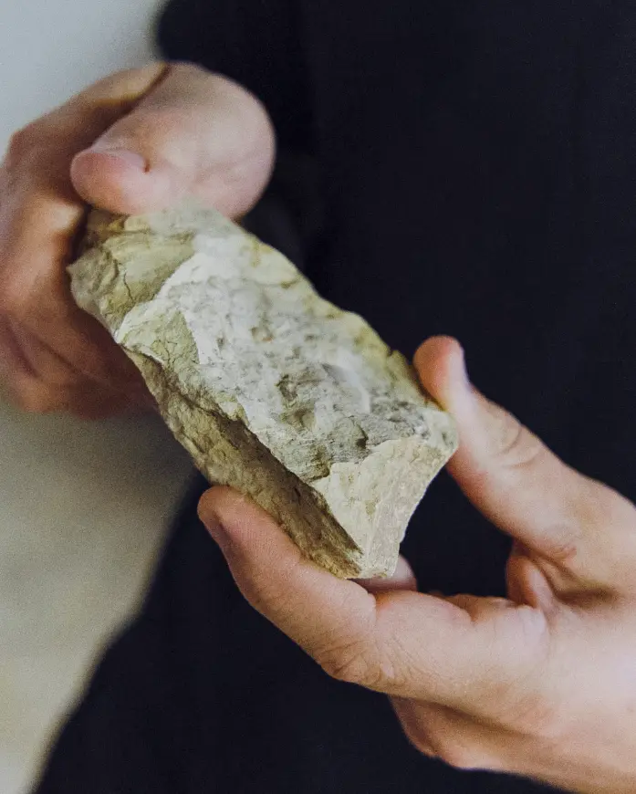 Cave Champagne — Grains Nobles