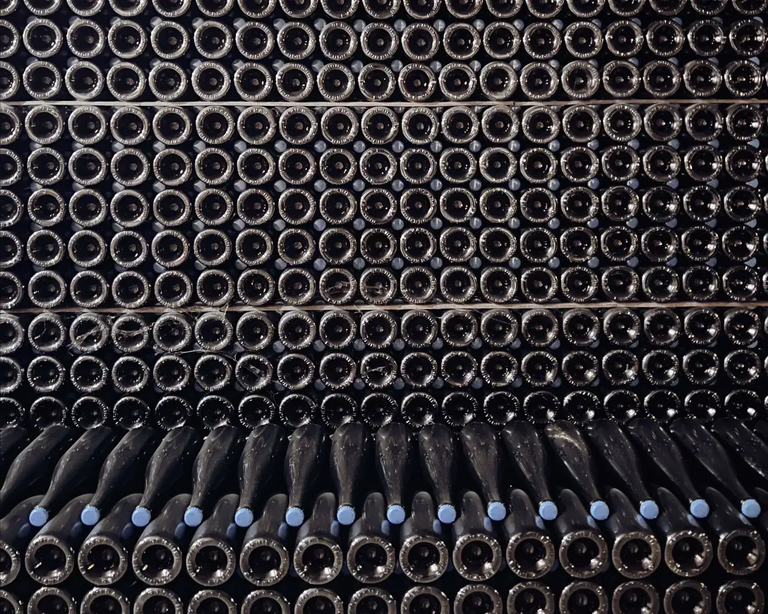 Sélection champagne — Grains Nobles