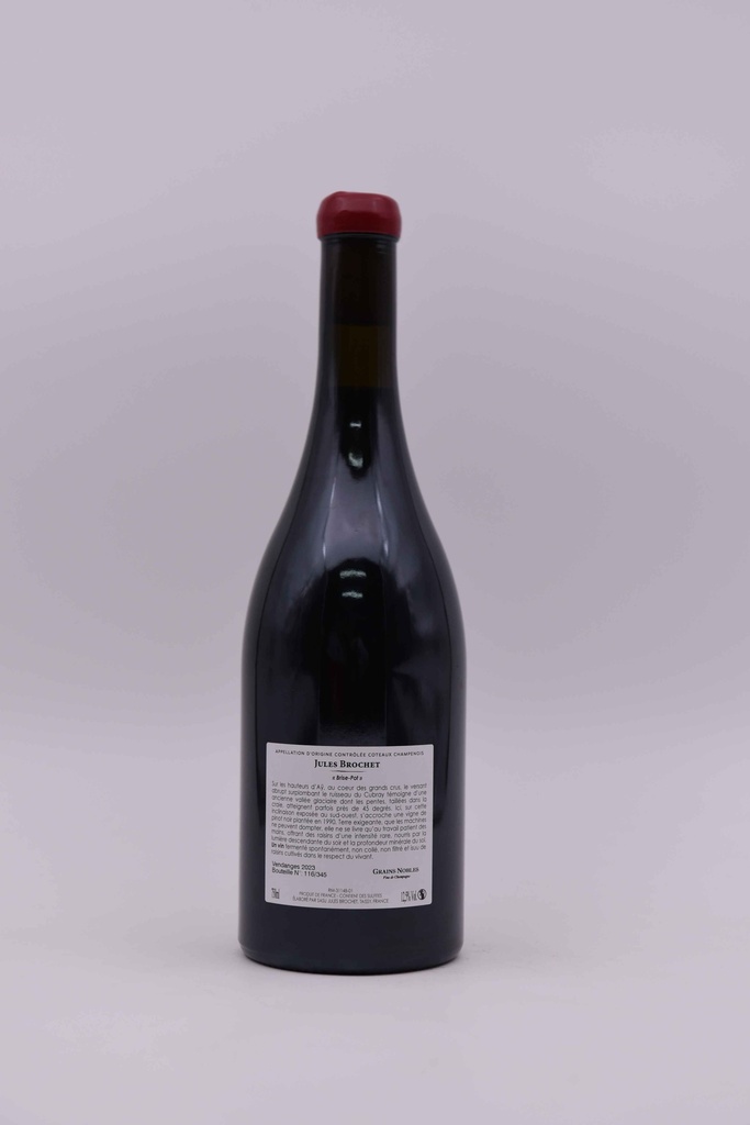 Jules Brochet, Coteaux Champenois Aÿ 2023, Brise-Pot, rouge, 75 cl 
