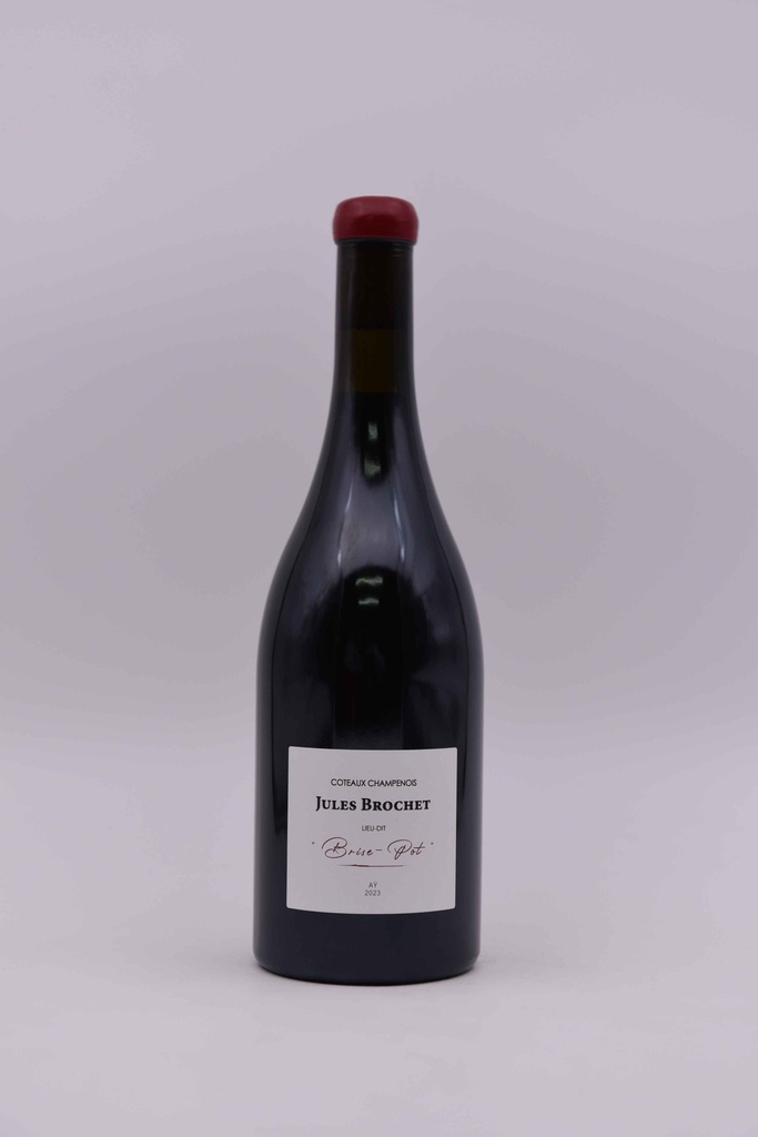 Jules Brochet, Coteaux Champenois Aÿ 2023, Brise-Pot, rouge, 75 cl 