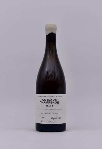 Benjamin Petit, Coteaux Champenois Blanc, 2021 75 cl