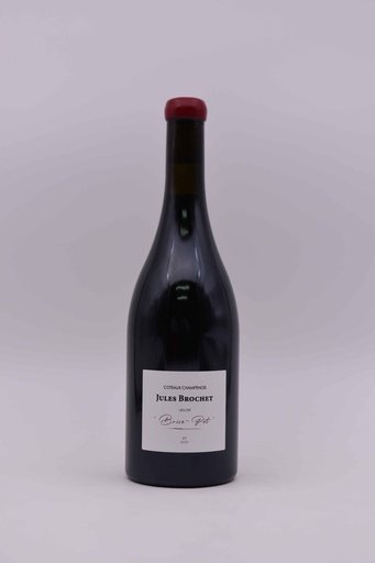 Jules Brochet, Coteaux Champenois Aÿ 2023, Brise-Pot, rouge, 75 cl 